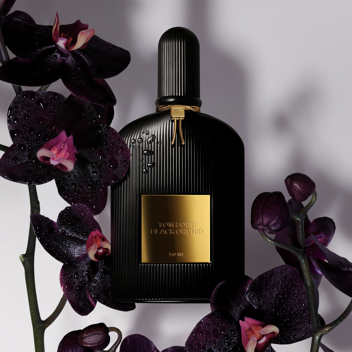 BLACK ORCHID LOOK SET