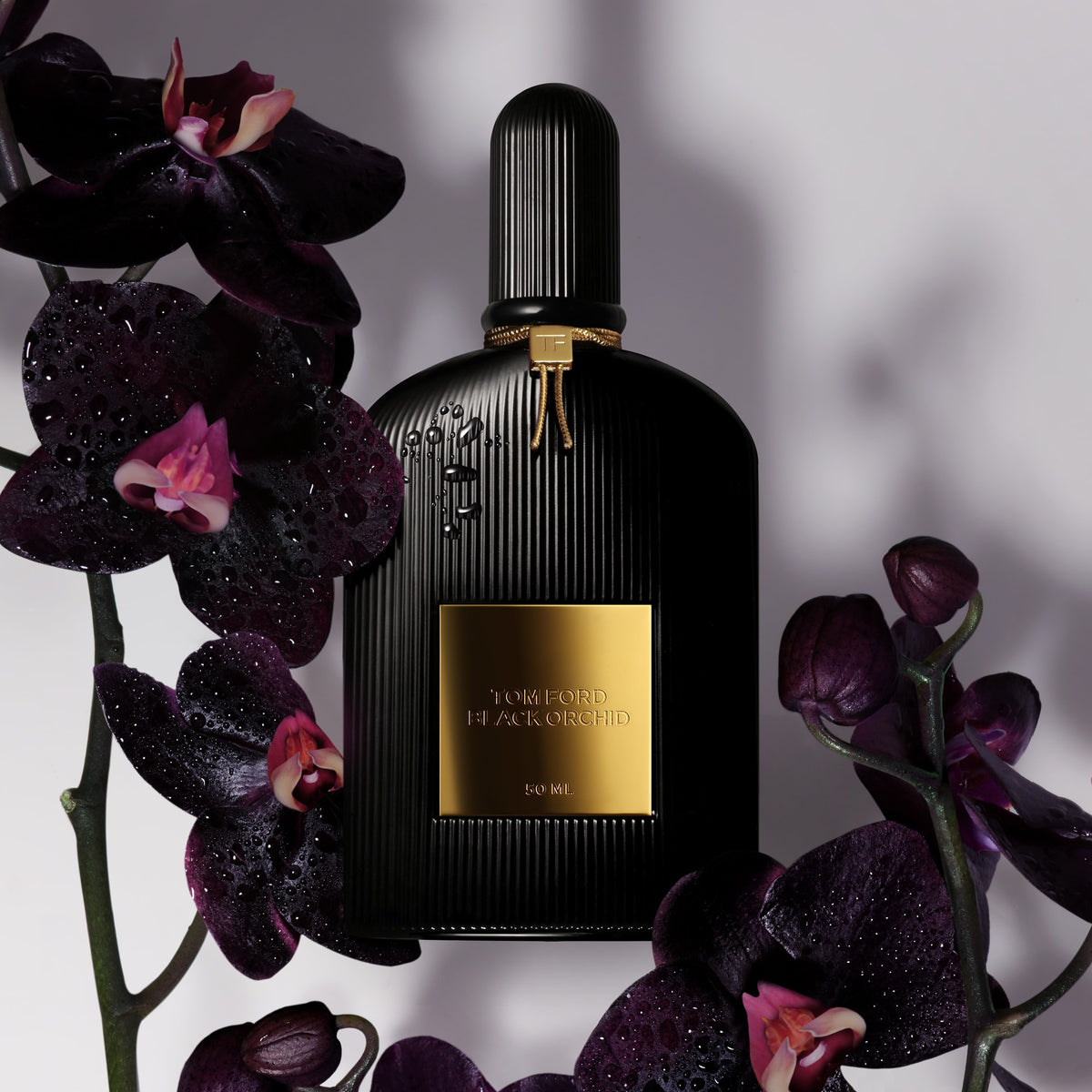 Black Orchid Eau de Parfum, 150.0 ml, Alt