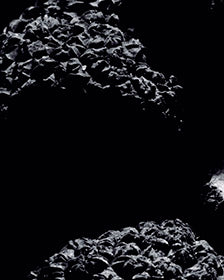 BLACK TRUFFLE