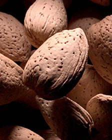 BITTER ALMOND