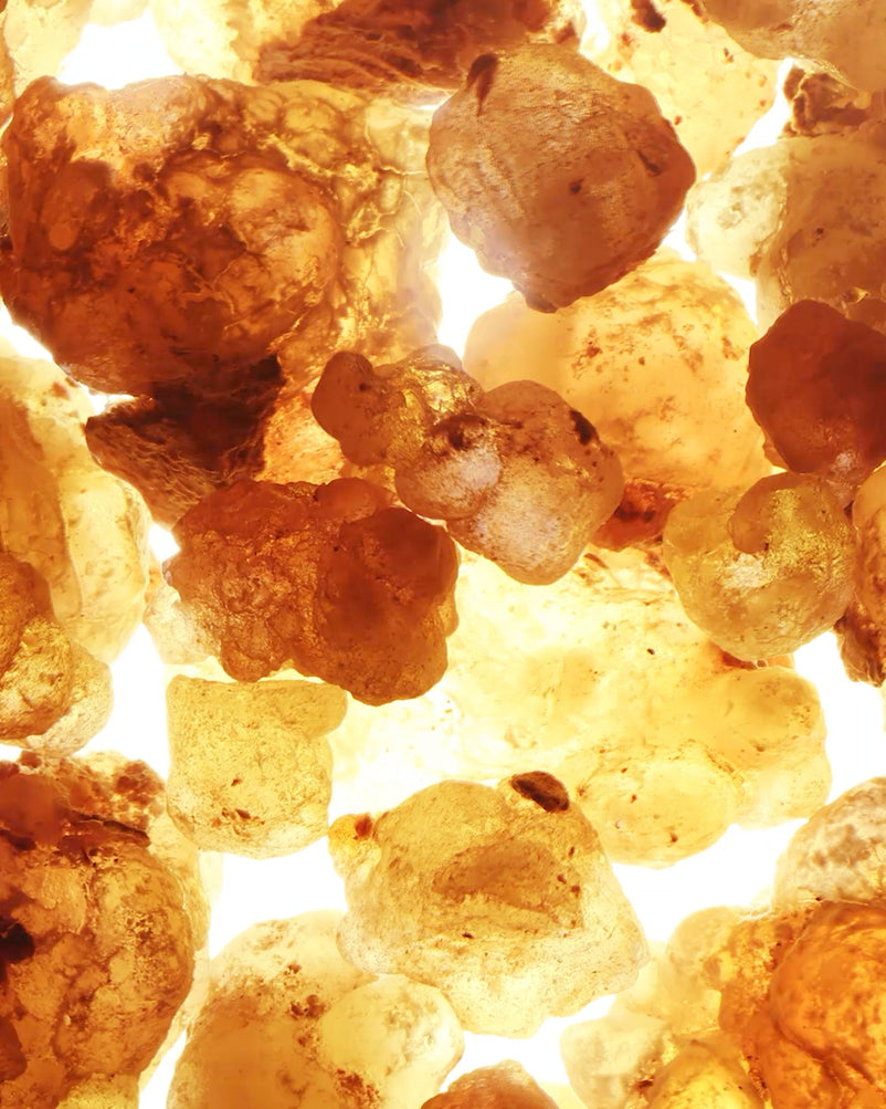 BENZOIN EXTRACT ORPUR